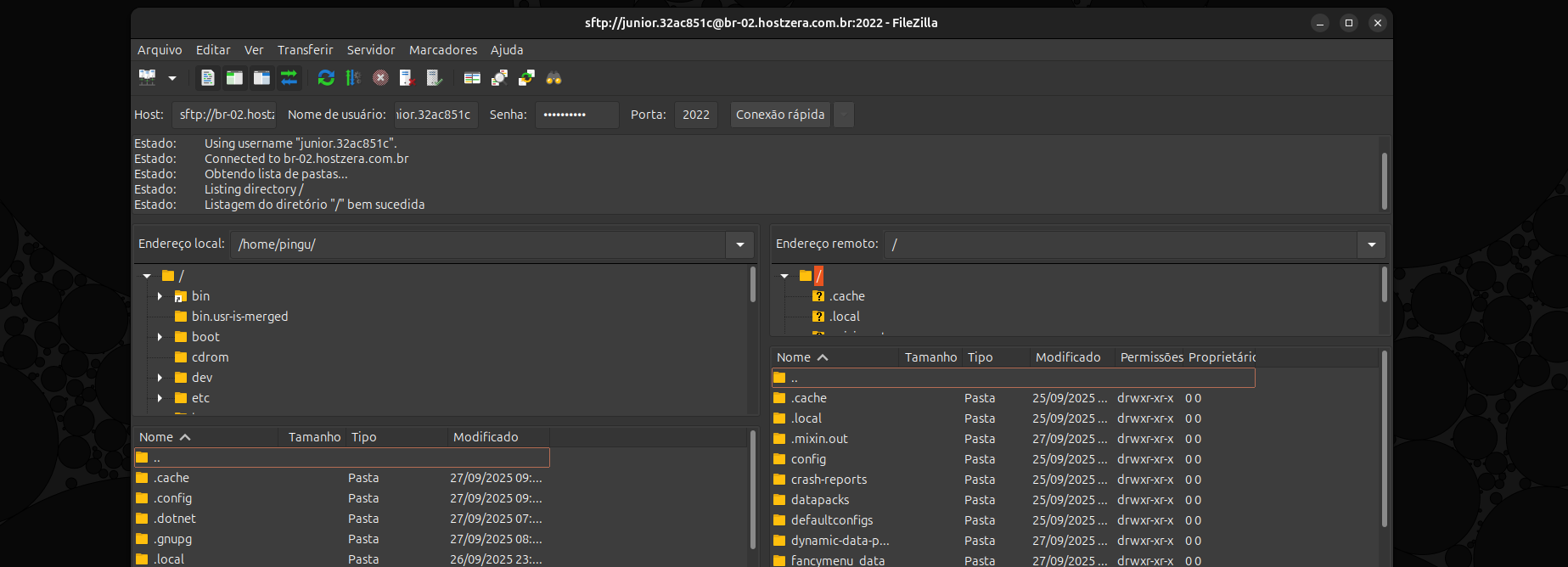 Painel de Controle da Hostzera